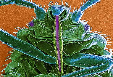 《星空》全新Mod引入动态天气系统